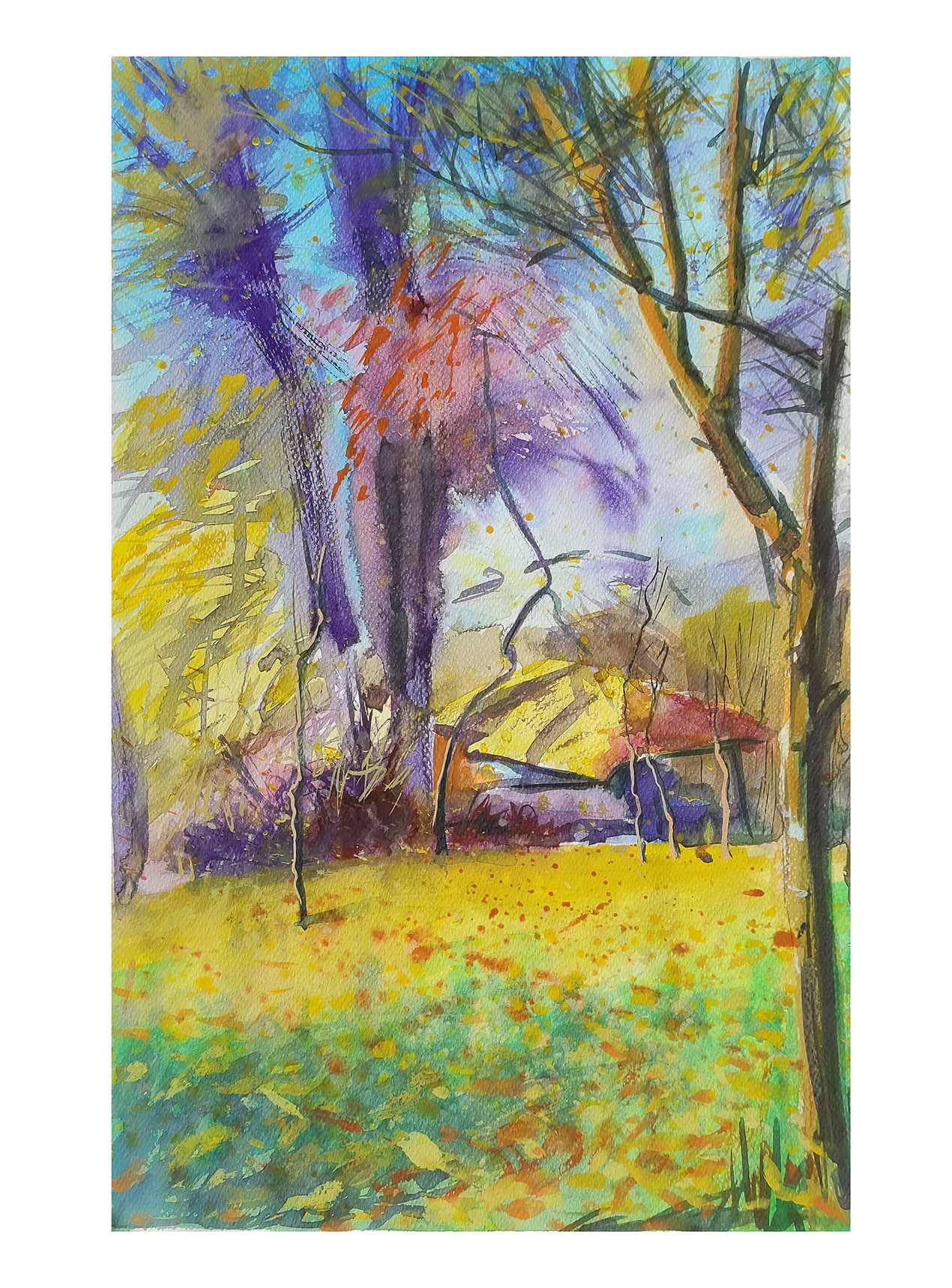 The old dryer under the lime tree